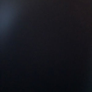 Meet your Posher, Shneur